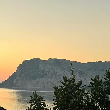 Apartment Punta Est Trilocale Stupenda Vista Mare Capo Coda Cavallo