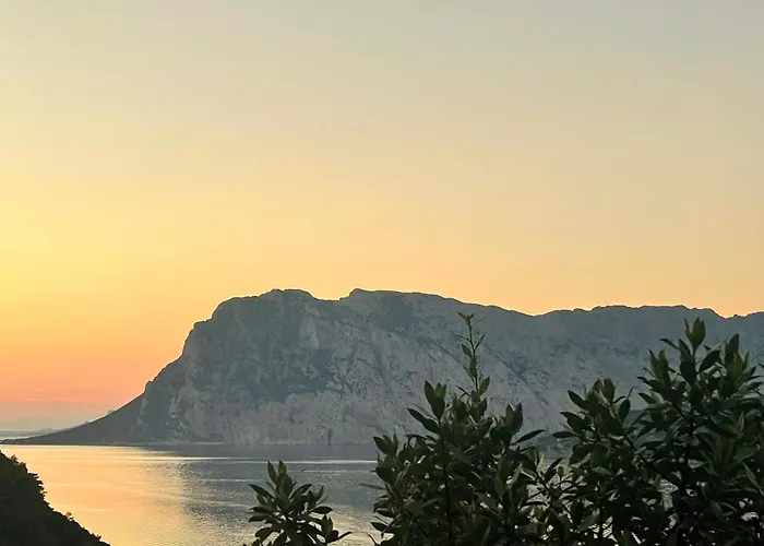 Apartman Punta Est Trilocale Stupenda Vista Mare Capo Coda Cavallo